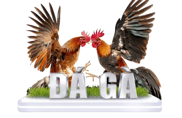 đá gà QT99