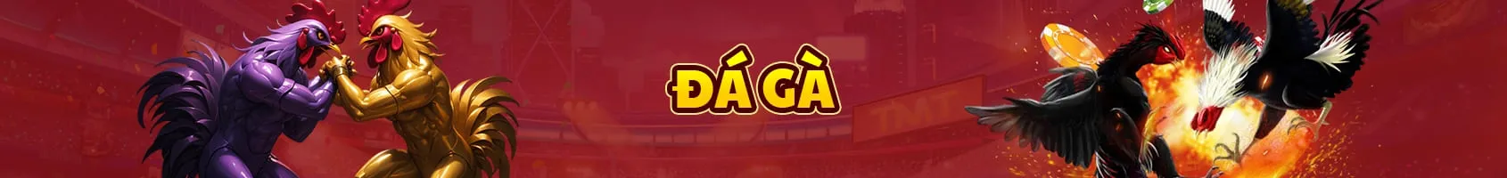 đá gà dt66