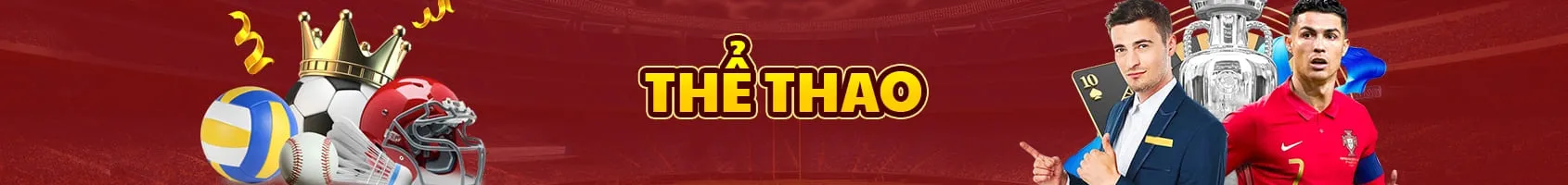 thể thao dt66