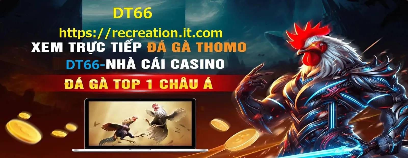 đá gà giải thomo dt66