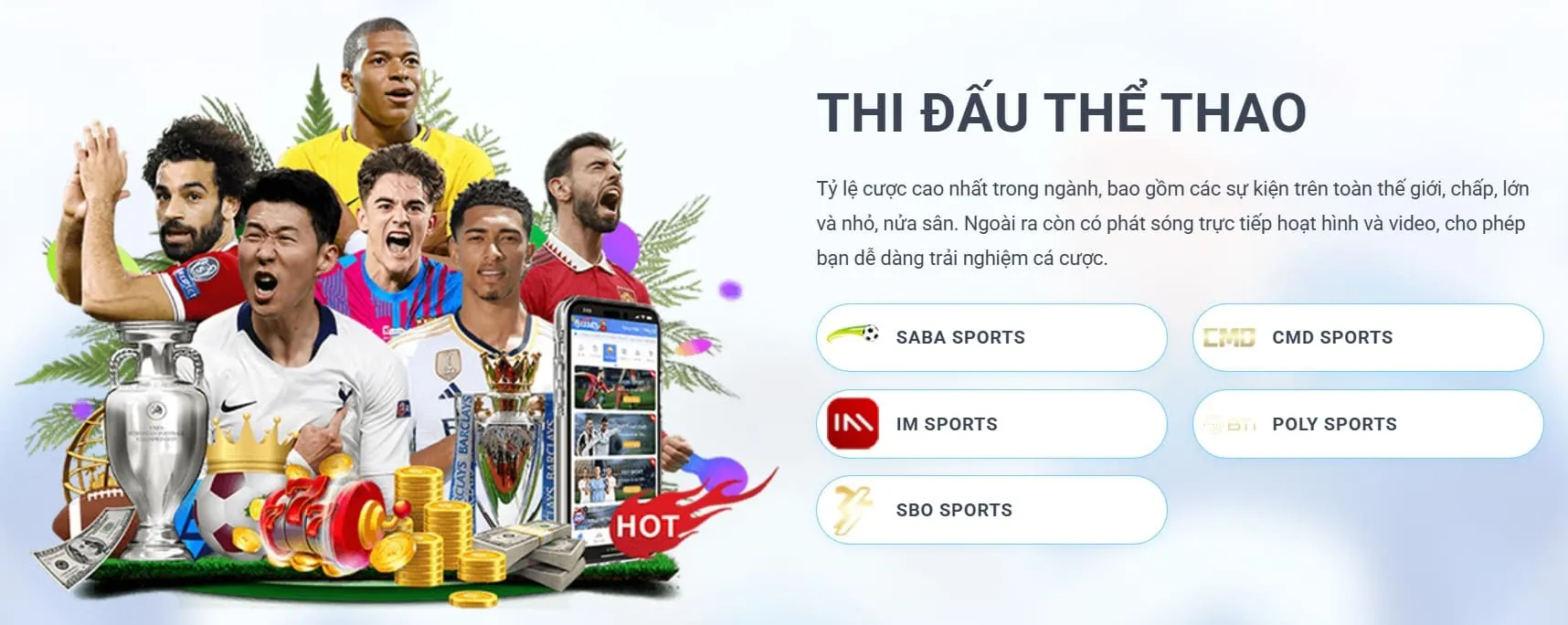 thể thao dt66