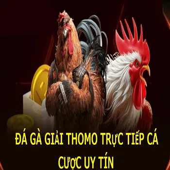 đá gà giải thomo dt66